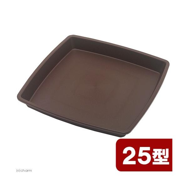 AbvEFA[@NtgXNGAv[g@QT^@_[NuE