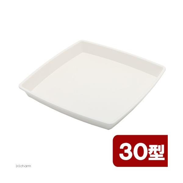 AbvEFA[@NtgXNGAv[g@RO^@zCg