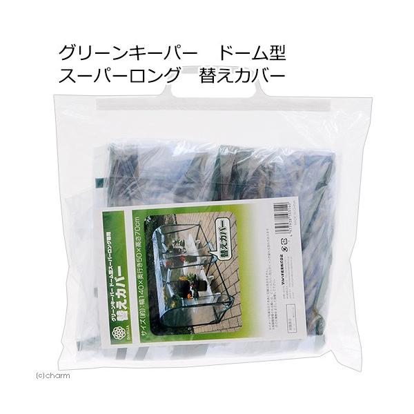 O[L[p[pւJo[@h[^@X[p[Op