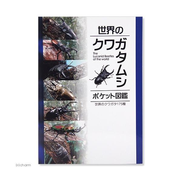メーカー：むし社 _insect　世界のクワガタムシ　ポケット図鑑　9784943955238　8953　昆虫　書籍　図案　むし社　オオクワガタ　ヒラタクワガタ　ノコギリクワガタ　ミヤマクワガタ　コクワガタ　クワガタ　20181105　ts...