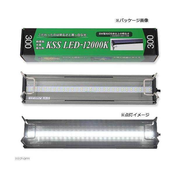 興和 KSS LED 12000K 300 30〜45cm水槽用照明 ライト 熱帯魚 沖縄別途送料 アクアリウムライト 関東当日便 ...