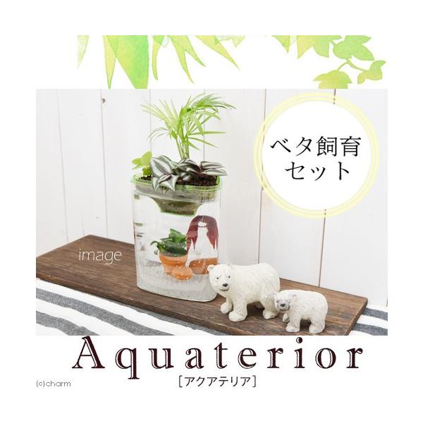 水槽 ベタ 飼育セットの人気商品 通販 価格比較 価格 Com
