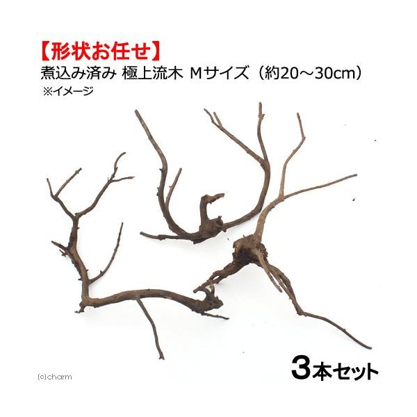 `󂨔C@ύݍς݁@ɏ㗬؁@lTCYiQO`ROj@R{@ANAE@eE@CAEgf