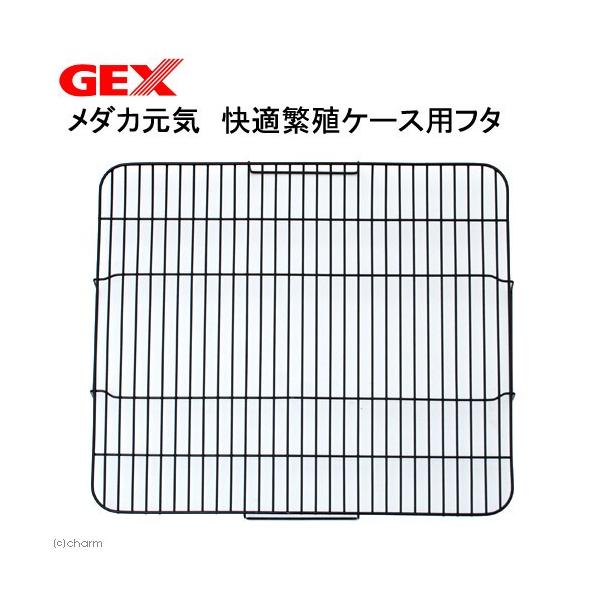 メーカー：ジェックス アクアリウム用品　gex_medaka_genki_serise　_aqua　ＧＥＸ　メダカ元気　快適繁殖ケースＬ　4972547033888　20170322　ＫＫ　ジェックス　めだか　飼育容器　発泡スチロール　屋外...