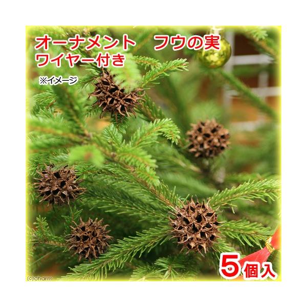 I[ig@ӂ̎@C[t@T@NX}X