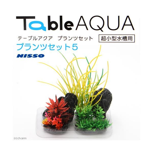 jb\[@e[uANA@vcZbgT@lH