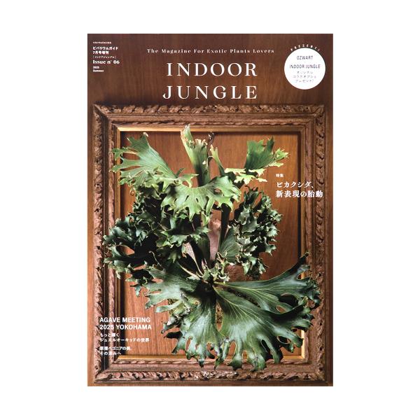 メーカー：エムピージェー ＩＮＤＯＯＲ　ＪＵＮＧＬＥ　インドア・ジャングル２０２５　Ｎｏ．６　書籍　4910177960754　20250807　ｙ25ｍ08　mikari　インドアグリーン　観葉植物　植物　ジュエルオーキッド　ビカクシダ　...