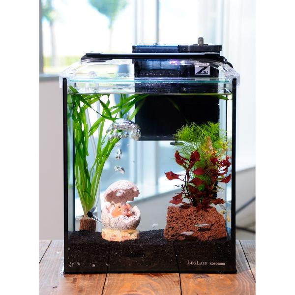 水草の森 直径約12cm×高さ約19cm水槽 フタ付き 卵型