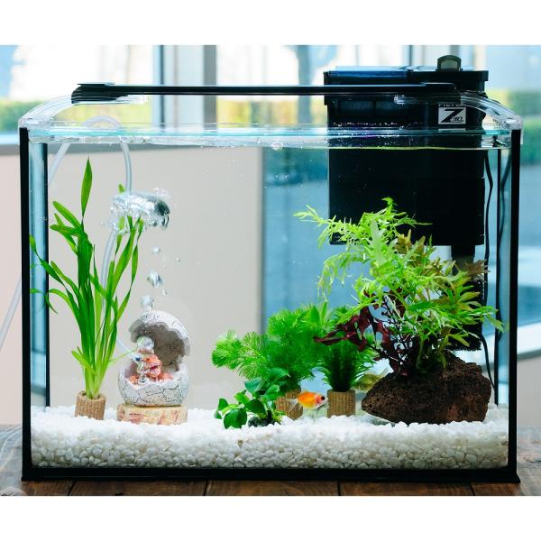 水草レイアウト育成済ガラス水槽 国産金魚）（水草）簡単ピンポンパール飼育水草レイアウトセット