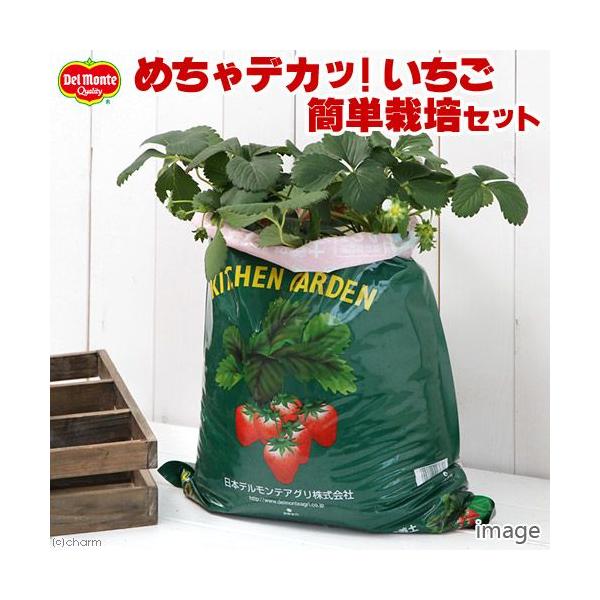 iϗtAjfe@Lb`K[f@ȒPC`S͔|ZbgiC`Sc@߂fJbItjiPZbgj@ƒ؉