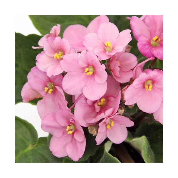 iϗtAjZg|[A@~i@Iv`}@RDTiPj