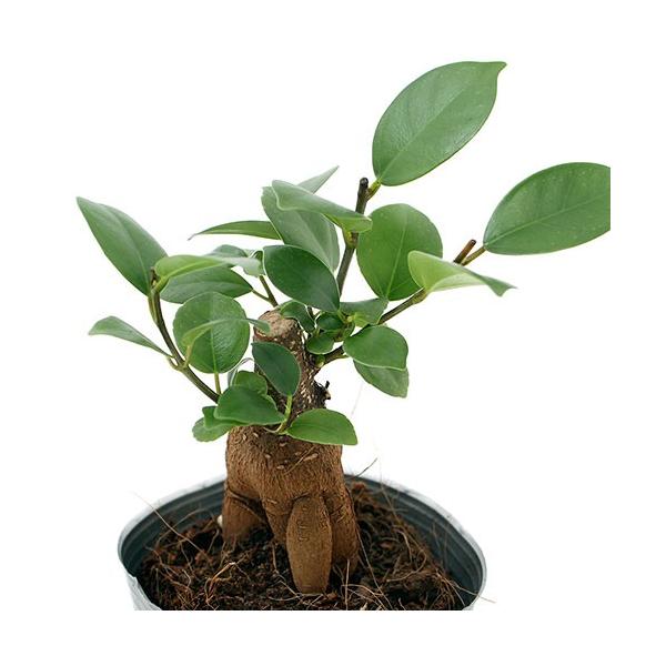 iϗtAj@CeA@KW}@QDT`RiT|bgj@삪ZލK̖