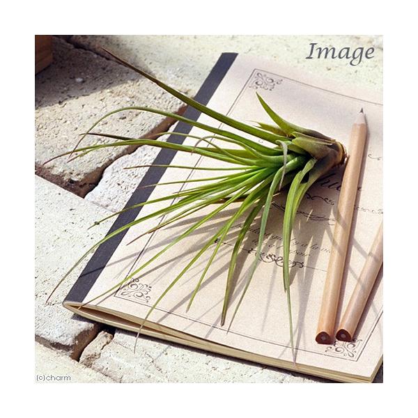 iϗtAjGA[vc@`WA@gR[iPj