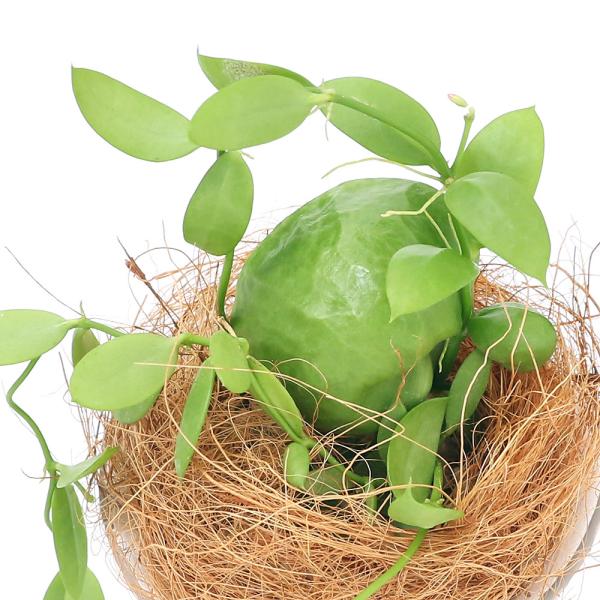 iϗtAjfBXLfBA@JK[|Pbg@tOhEh|bgwwrAiPj@Mt@RRV@A@@@v[g