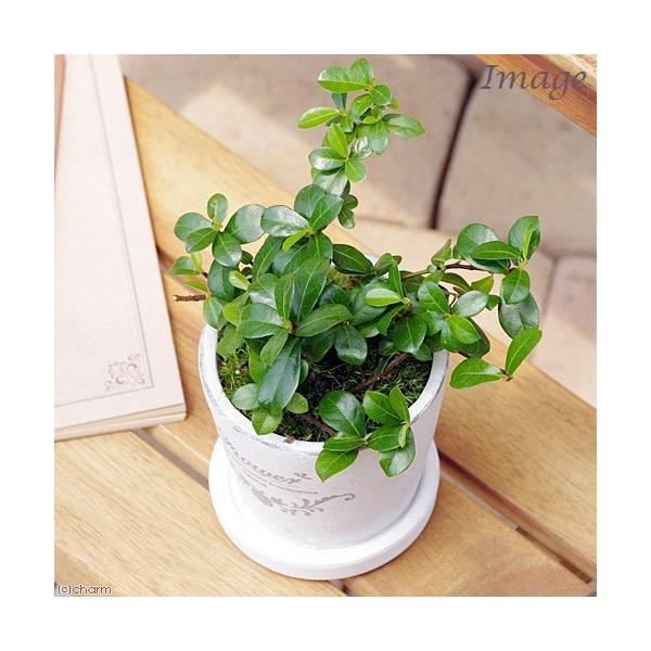 iϗtAj@CeA@鐫KW}@tOhEh|bgwwrAiPjMt@ہ@A@@