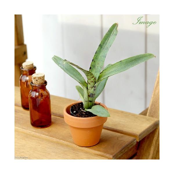 iϗtAjroEvc@uA@lIQA@veBA[i@R|bgiP|bgj^NuA