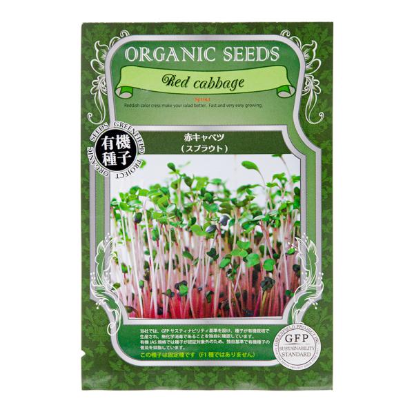 L@q@XvEg@ԃLxciP܁j@ƒ؉