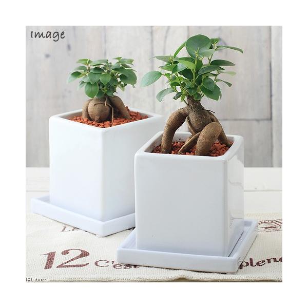 iϗtAj@CeA@KW}@픫A@}bgzCgiPjZ~X@삪ZލK̖؁@@v[g