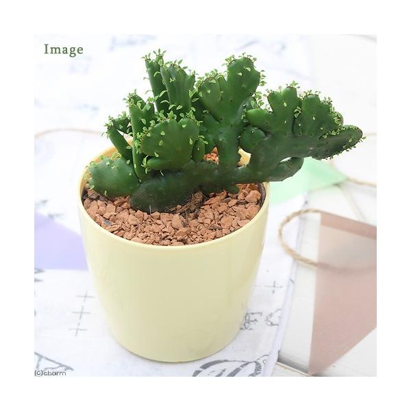 iAj[tHrA@O[`Lp[iIRN[^ԉj@RiPj