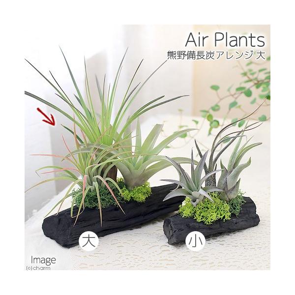 iϗtAjGA[vc@FYAW@iPj@@@v[g