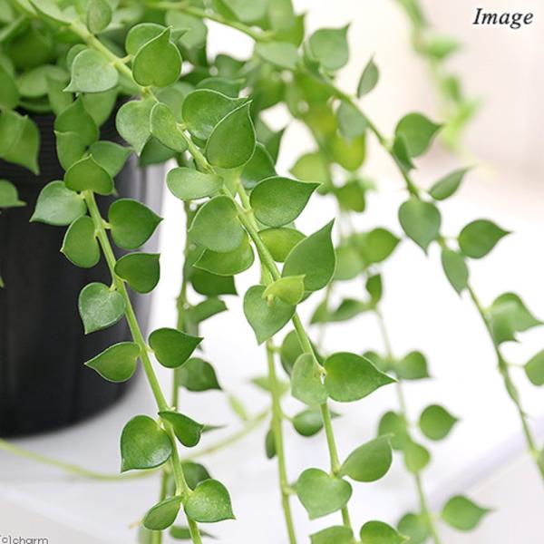 iϗtAjfBXLfBA@XLtHAi~In[gj@QDT`RiP|bgj