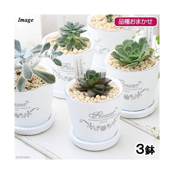 iϗtAjGPxAii킨܂j@tOhEh|bgwwriRj@󂯎Mt@A@A@@@v[g