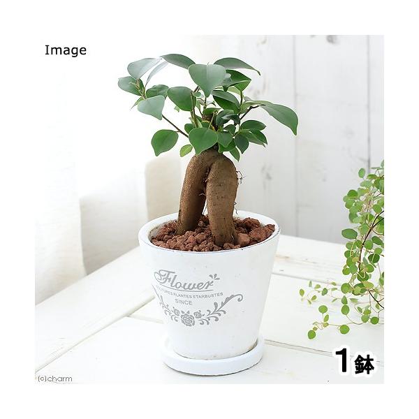 iϗtAj@CeA@KW}@tOhEh|bgwrAiPjMt@ԋʓy@A@@@v[g