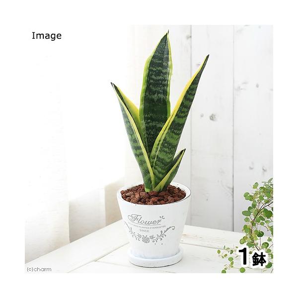 iϗtAjCeA@TZxA@tOhEh|bgwrAiPjMt@ԋʓy@A@@@v[g