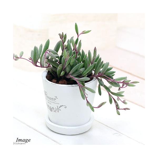 iϗtAjr[lbNX@tOhEh|bgwwrAiPj@Mt@ԋʓy@A@@v[g