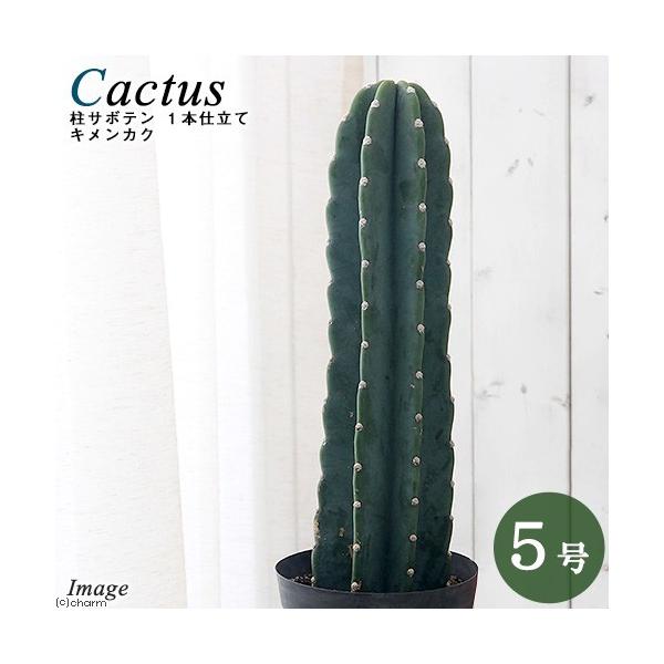 iAjT{e@ZEX@SʊpiLJNj@P{dā@TiPjT{e