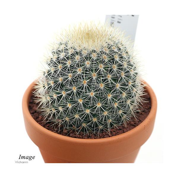 iAjfĔ@T{e@}~A@ہiQyC}j@RiPj