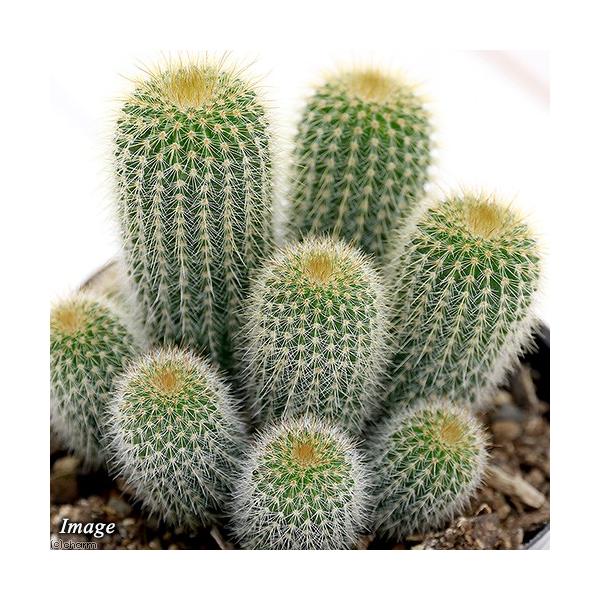 iAjT{e@GIJN^X@WہiLRE}j@Q@RiP|bgj