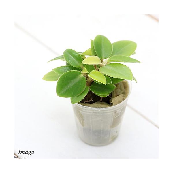 iϗtAj~jϗt@IAVXc@yy~A@IoiPcj