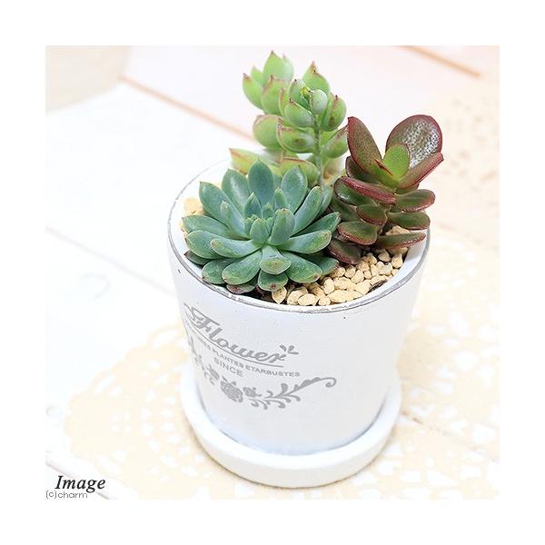 iϗtAjR񂹐A@tOhEh|bgwwrAiPj@Mt@y@A@@v[g