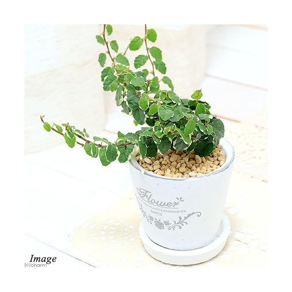 iϗtAjtBJX@v~@Tj[zCg@tOhEh|bgwwrAiPj@Mt@y@A@@@v[g