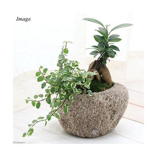 iϗtAjCeA@ۖ~́@KW}v~@RΐΔA@lTCYiPjہ@A@@@v[g