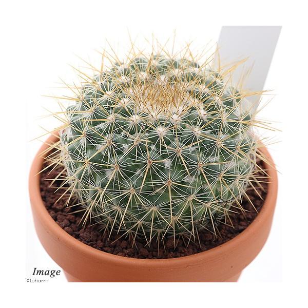 iAjfĔ@T{e@}~A@ہiJJl}j@RiPj