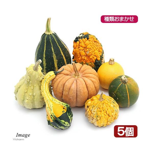 iϗtAjnEB@J{`@ނ܂iTj@CeAIuWF