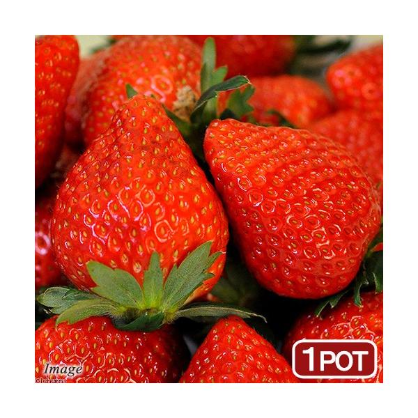 iϗtAjؕc@C`S@ƂƂ߁@QDT`RDTiP|bgj@c@ƒ؉@ʕ@t[c