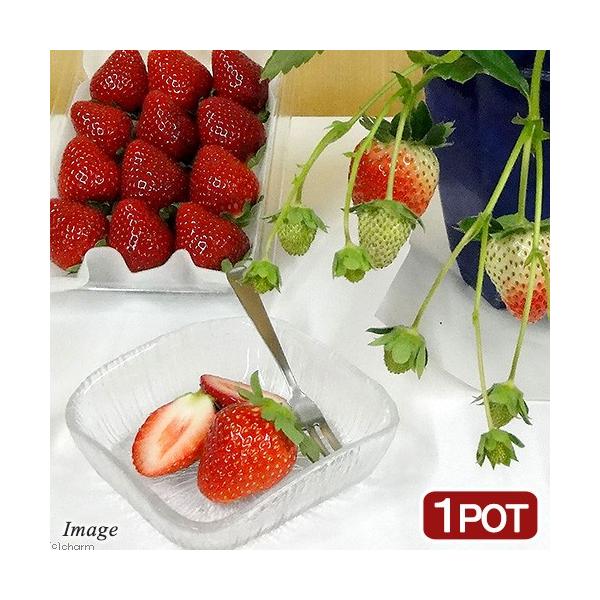 iϗtAjؕc@C`S@bx[@RiP|bgj@ouo@c@ƒ؉@ʕ@t[c