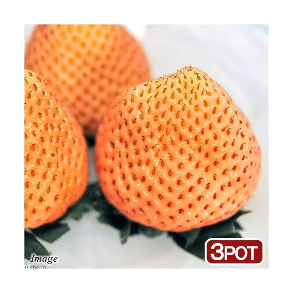 iϗtAjؕc@C`S@Oiouoj@RiR|bgj@ƒ؉@c@ʕ@t[c