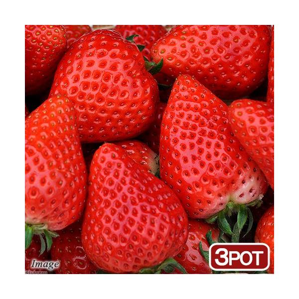 iϗtAjؕc@C`S@ڂ@RiR|bgj@ouo@ƒ؉@c@ʕ@t[c