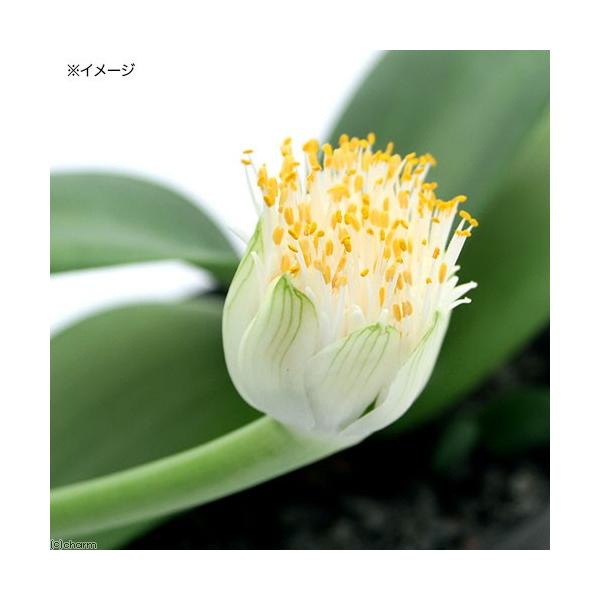 iAj}nPIginG}TXj@R`SiPj