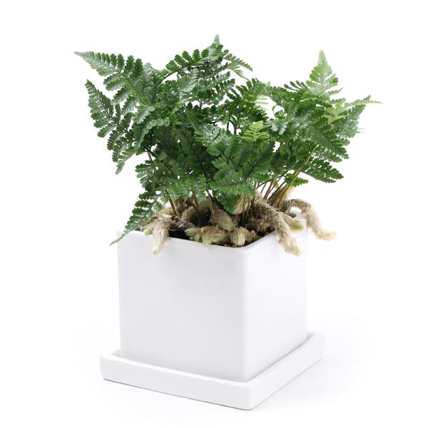 iϗtAjgLVmu@픫A@}bgzCgiPj@Mt@y΍@A@@@v[g