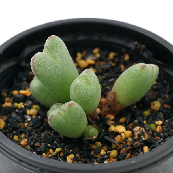 iAjRmtBc@`ErjAG@QiPj