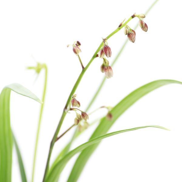 iR쑐jPCr@vPCr@RiPjixԁjixԁj