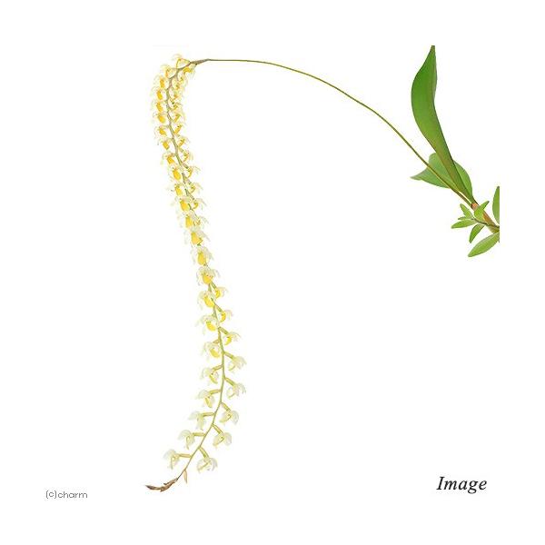 iϗtAjm@fhL@RrAi@QDT`RiP|bgj