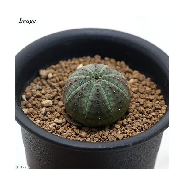 iAj[tHrA@IxT@QDT`RiPj