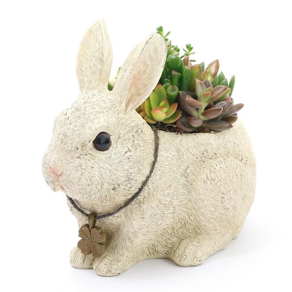 iϗtAj񂹐A@B̑蕨@AeB[NrbgiPj@A@@v[g