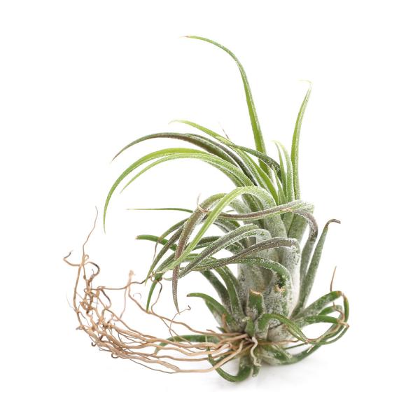 iϗtAjGA[vc@`WA@vCm[T×XJ|[TiPj